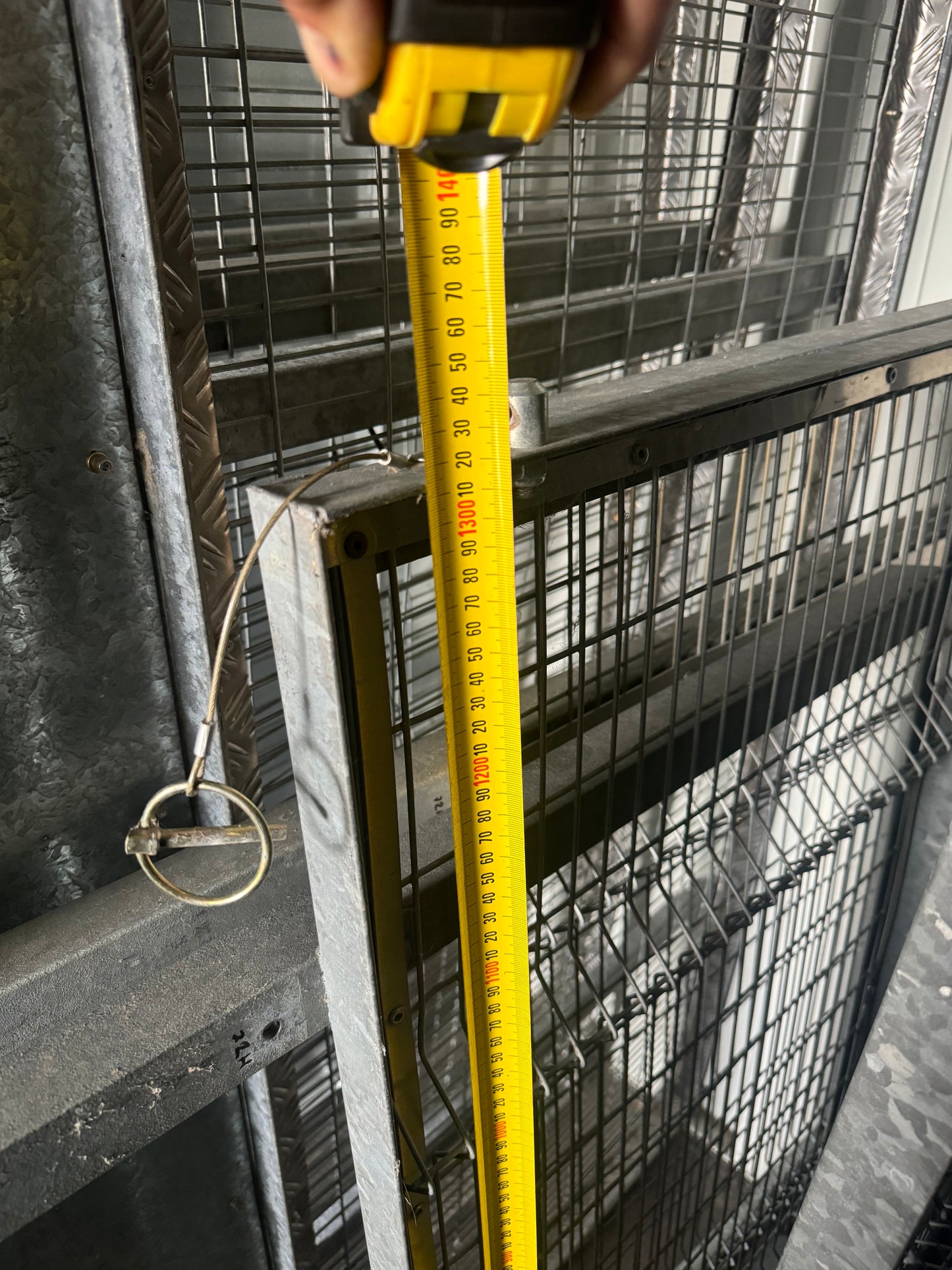 Bateson 72H Cage