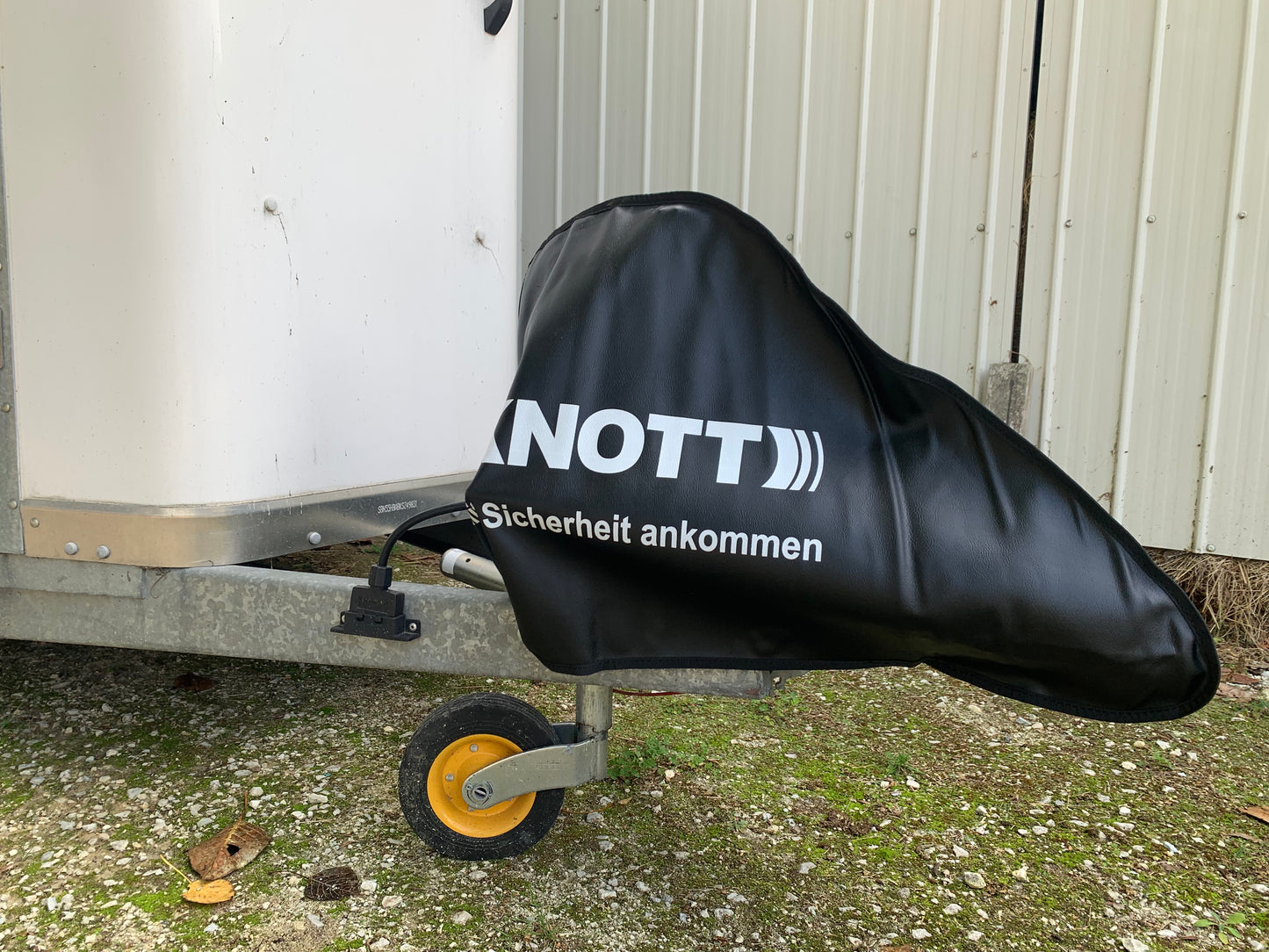 Headstock Cover Knott branded